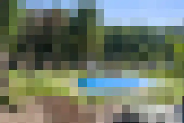 Immenweg 15 531 Lunteren thumbnail 47