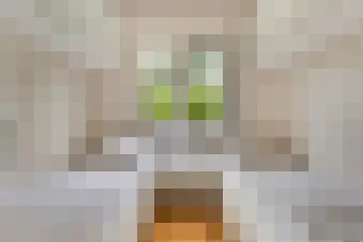 Immenweg 15 R 118 Lunteren thumbnail 12