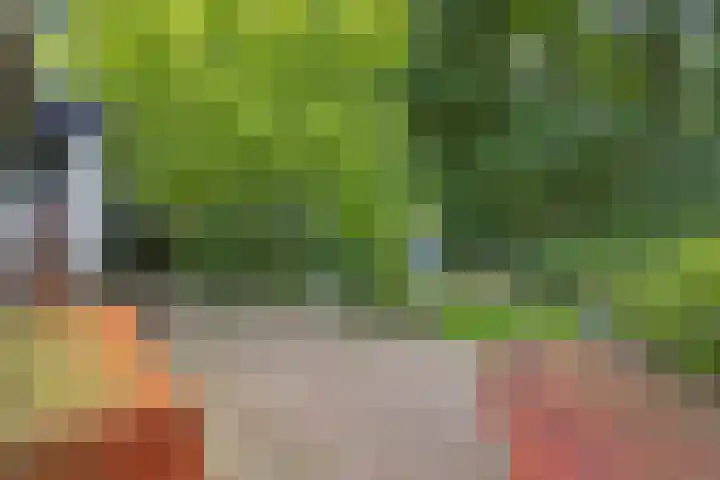 Immenweg 15 R 118 Lunteren thumbnail 14
