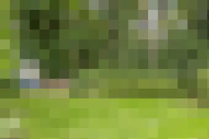Immenweg 15 R 118 Lunteren thumbnail 15