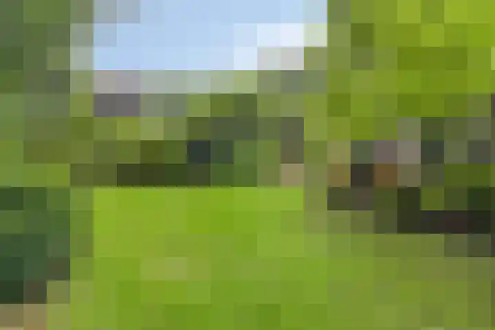 Immenweg 15 R 118 Lunteren thumbnail 16
