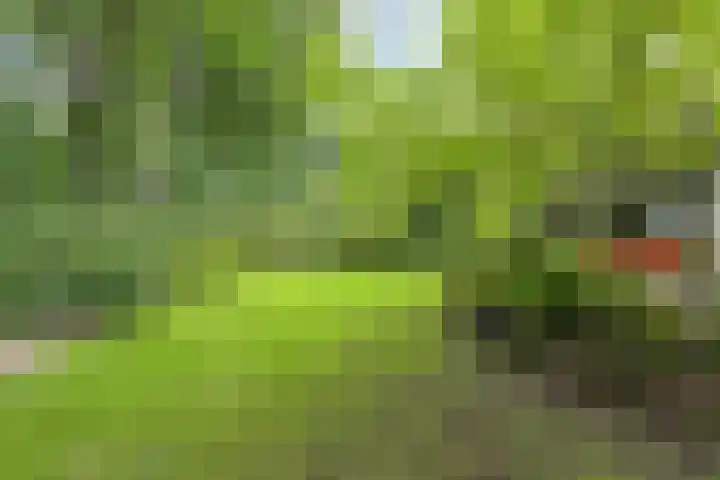 Immenweg 15 R 118 Lunteren thumbnail 17