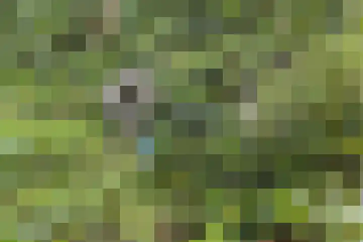 Immenweg 15 R 118 Lunteren thumbnail 18