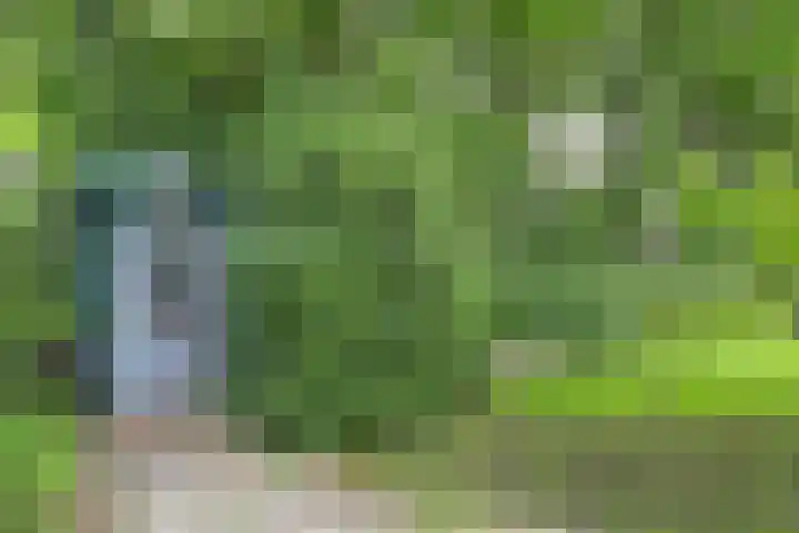 Immenweg 15 R 118 Lunteren thumbnail 20