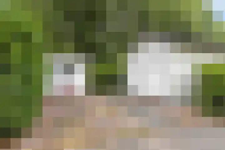Immenweg 15 R 118 Lunteren thumbnail 21
