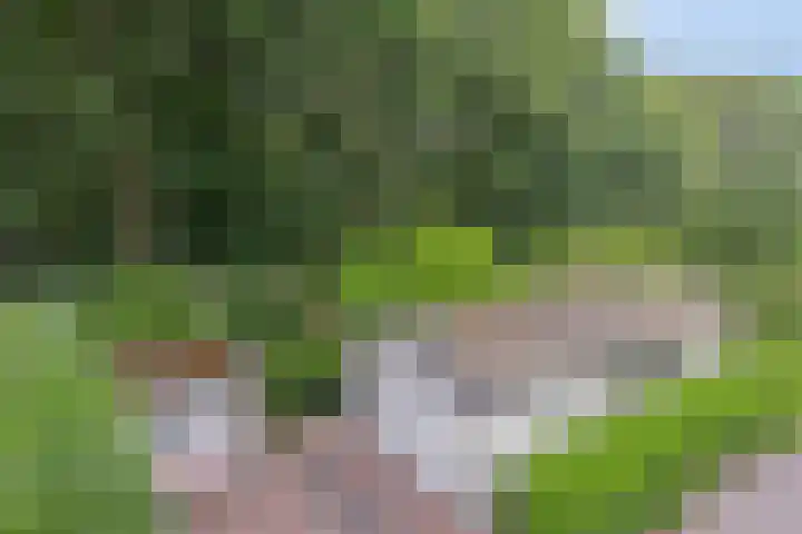 Immenweg 15 R 118 Lunteren thumbnail 22
