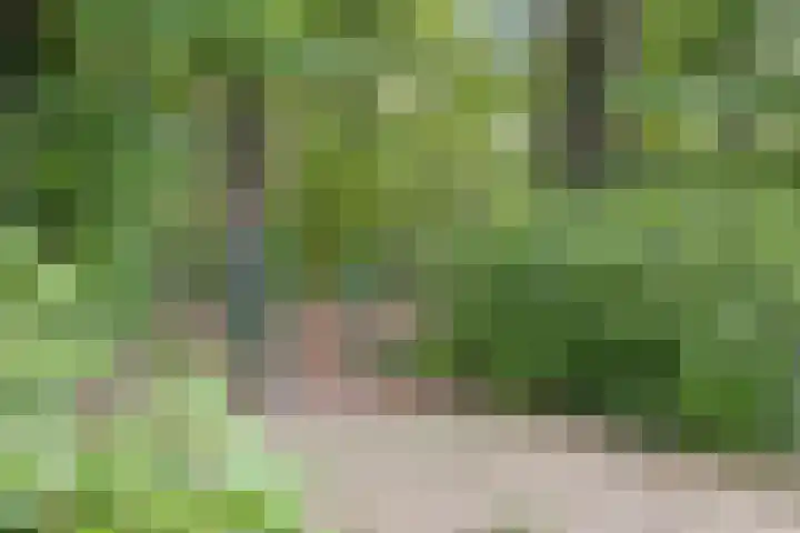 Immenweg 15 R 118 Lunteren thumbnail 23