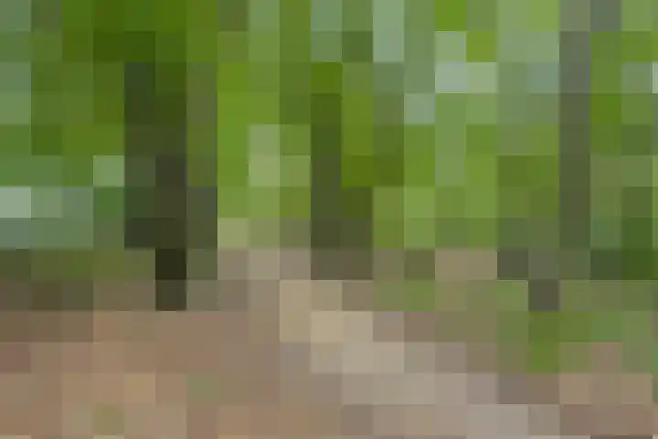 Immenweg 15 R 118 Lunteren thumbnail 24