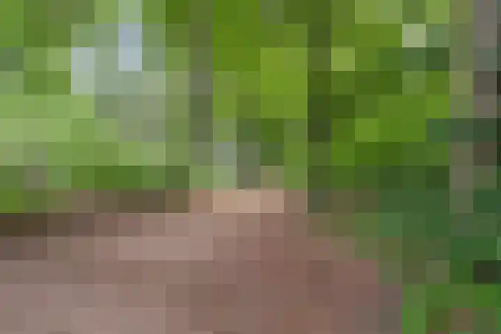 Immenweg 15 R 118 Lunteren thumbnail 25