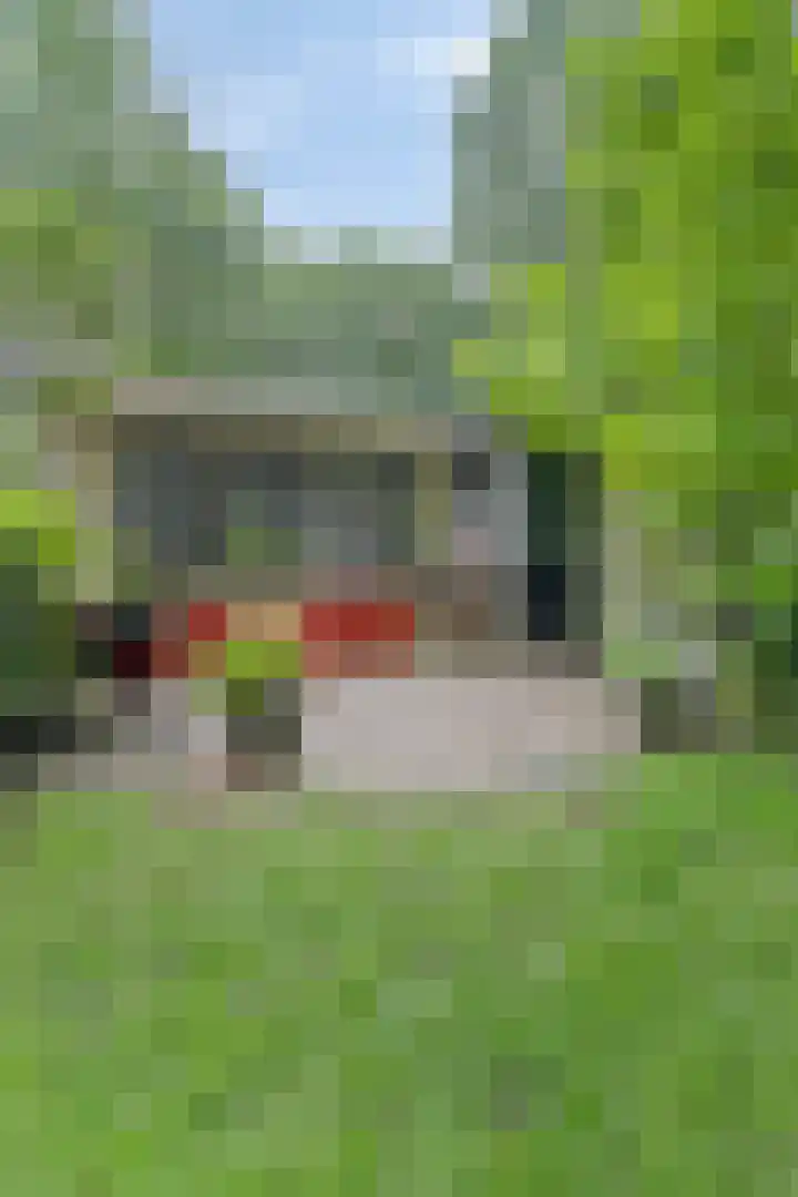Immenweg 15 R 118 Lunteren thumbnail 27