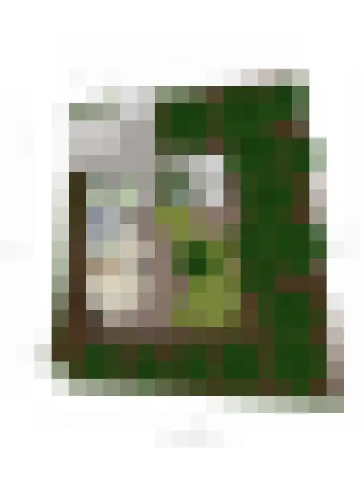 Immenweg 15 R 118 Lunteren thumbnail 30