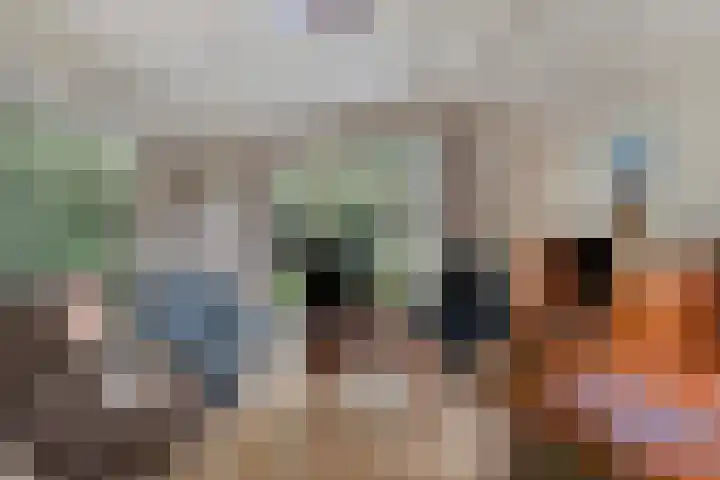 Immenweg 15 R 118 Lunteren thumbnail 4
