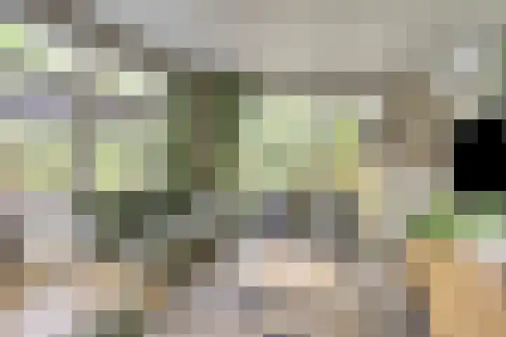 Immenweg 15 R 131 Lunteren thumbnail 10