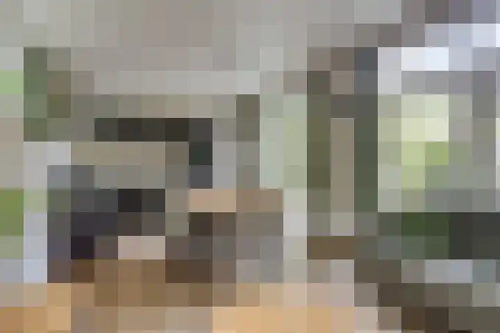 Immenweg 15 R 131 Lunteren thumbnail 11
