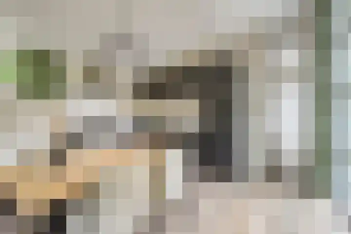 Immenweg 15 R 131 Lunteren thumbnail 14
