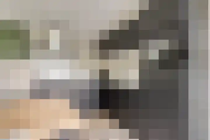 Immenweg 15 R 131 Lunteren thumbnail 15
