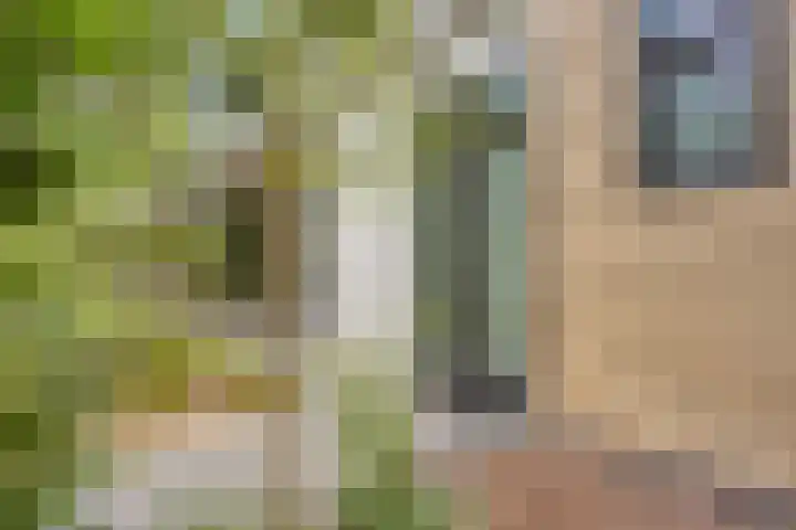 Immenweg 15 R 131 Lunteren thumbnail 22