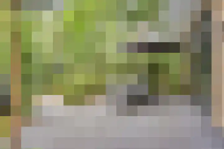 Immenweg 15 R 131 Lunteren thumbnail 23
