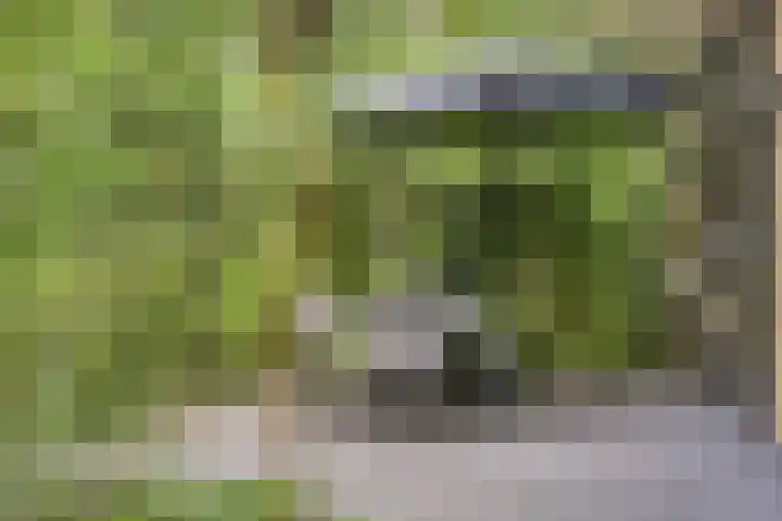 Immenweg 15 R 131 Lunteren thumbnail 24