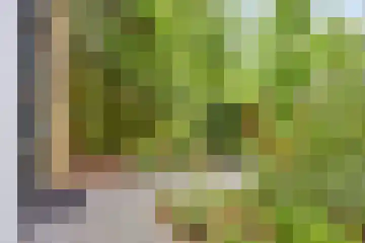 Immenweg 15 R 131 Lunteren thumbnail 25