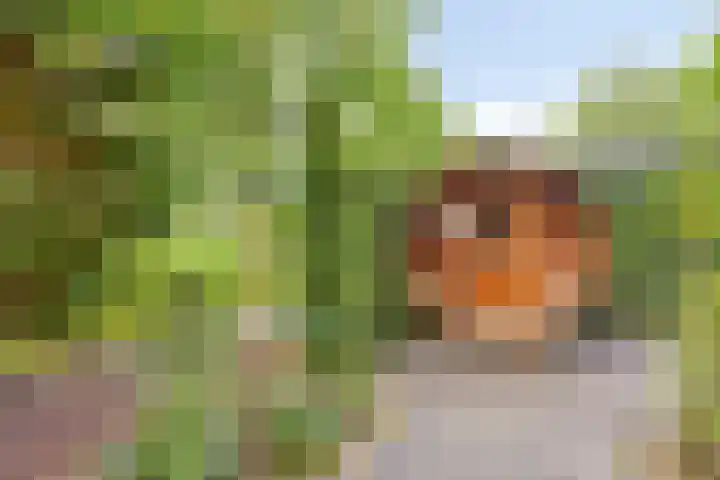 Immenweg 15 R 131 Lunteren thumbnail 26