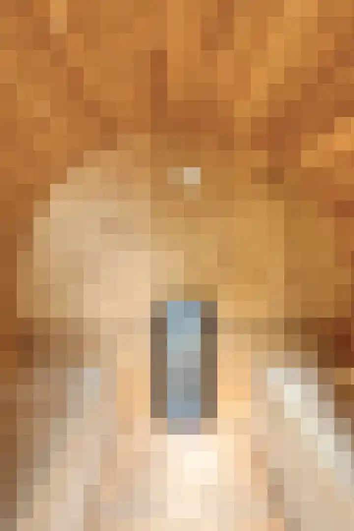 Immenweg 15 R 131 Lunteren thumbnail 28