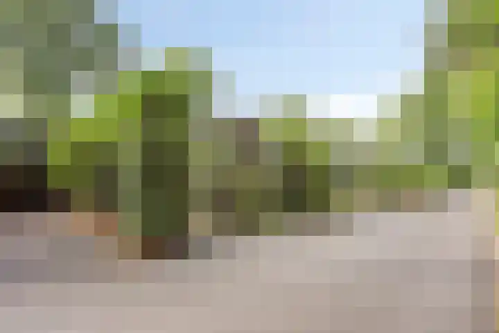 Immenweg 15 R 131 Lunteren thumbnail 30