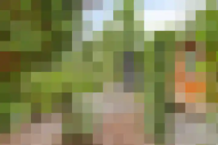 Immenweg 15 R 131 Lunteren thumbnail 31