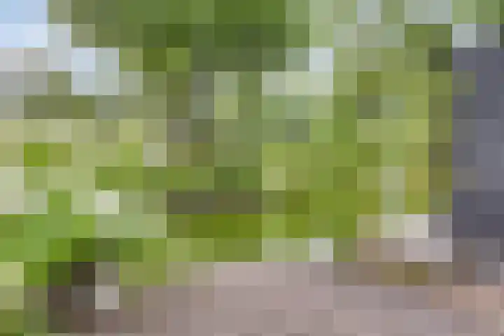 Immenweg 15 R 131 Lunteren thumbnail 32