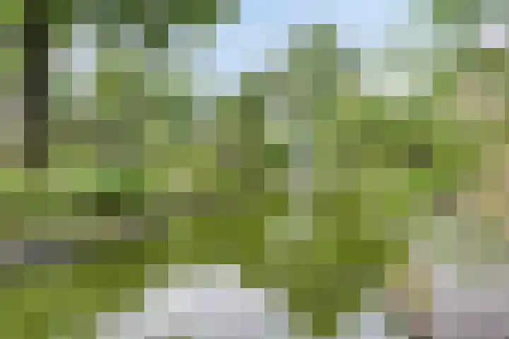 Immenweg 15 R 131 Lunteren thumbnail 33