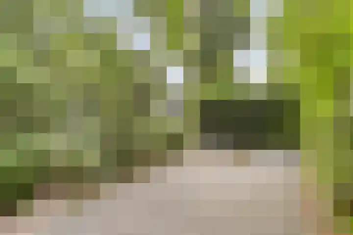 Immenweg 15 R 131 Lunteren thumbnail 34