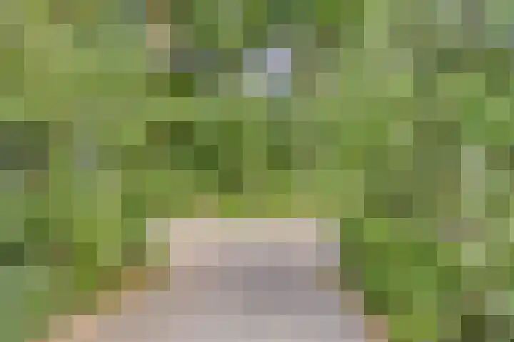 Immenweg 15 R 131 Lunteren thumbnail 35