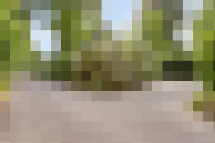 Immenweg 15 R 131 Lunteren thumbnail 36