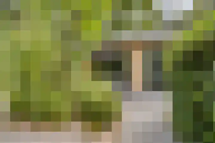 Immenweg 15 R 131 Lunteren thumbnail 4
