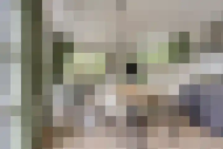 Immenweg 15 R 131 Lunteren thumbnail 7