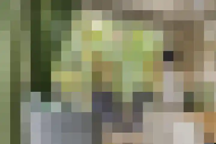 Immenweg 15 R 131 Lunteren thumbnail 8