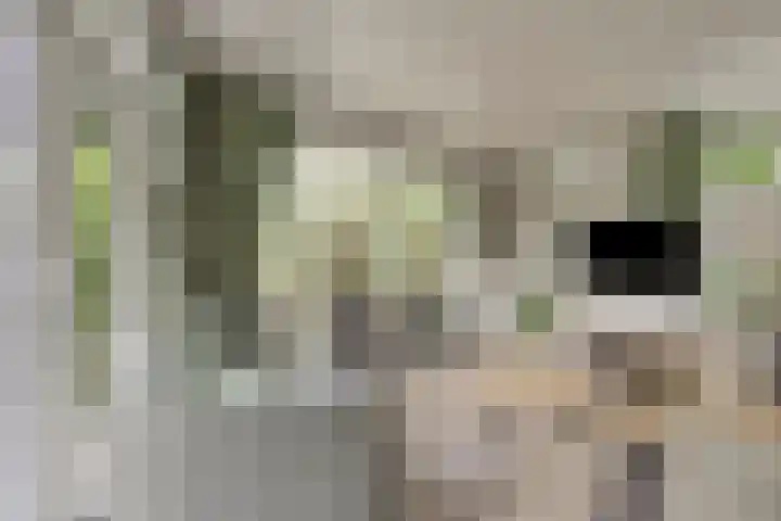 Immenweg 15 R 131 Lunteren thumbnail 9