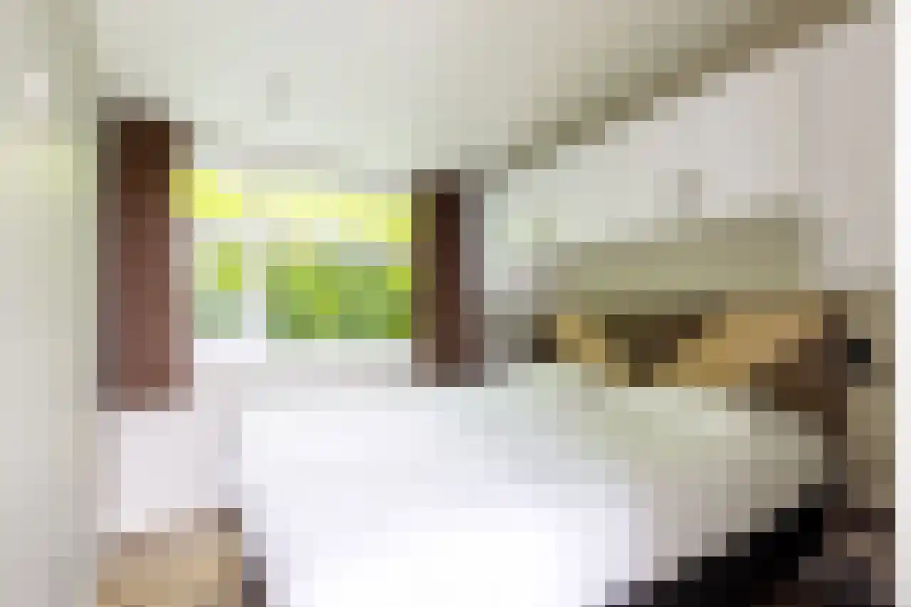 Immenweg 15 R 144 Lunteren thumbnail 22