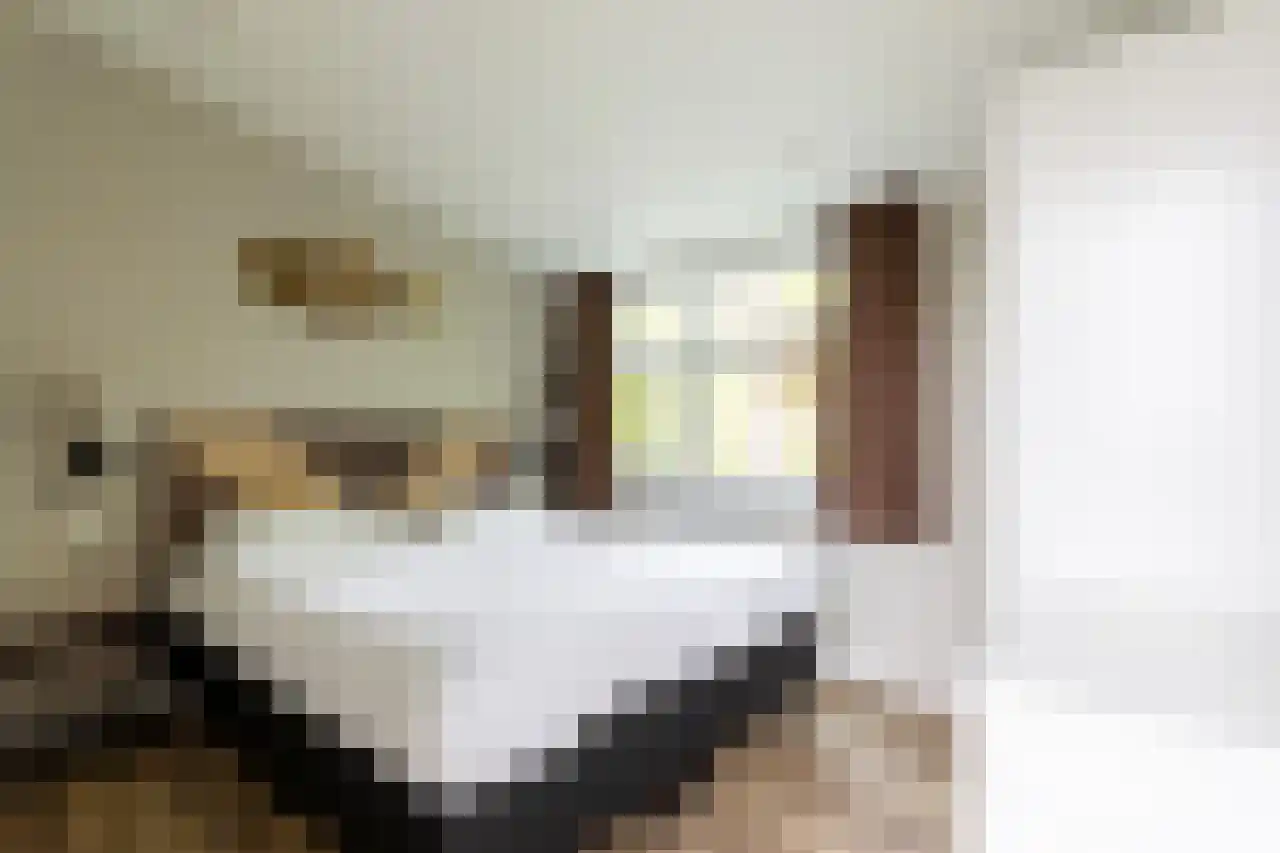 Immenweg 15 R 144 Lunteren thumbnail 23