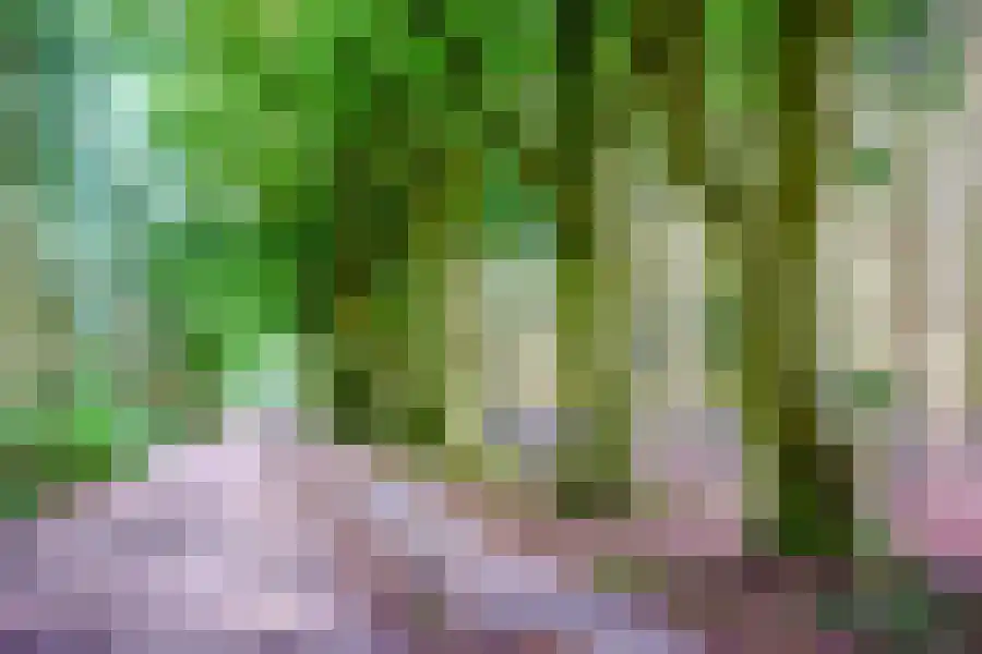 Immenweg 15 R 144 Lunteren thumbnail 25