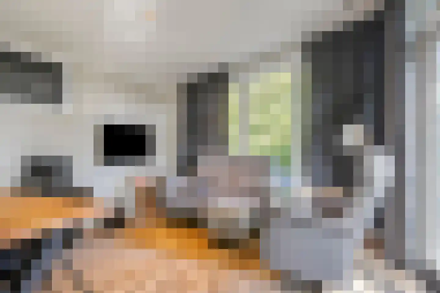 Immenweg 15 R 149 Lunteren thumbnail 10