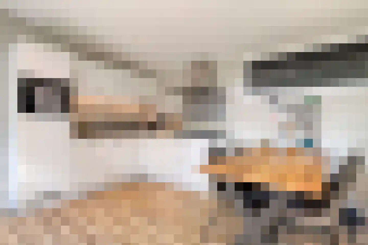 Immenweg 15 R 149 Lunteren thumbnail 16