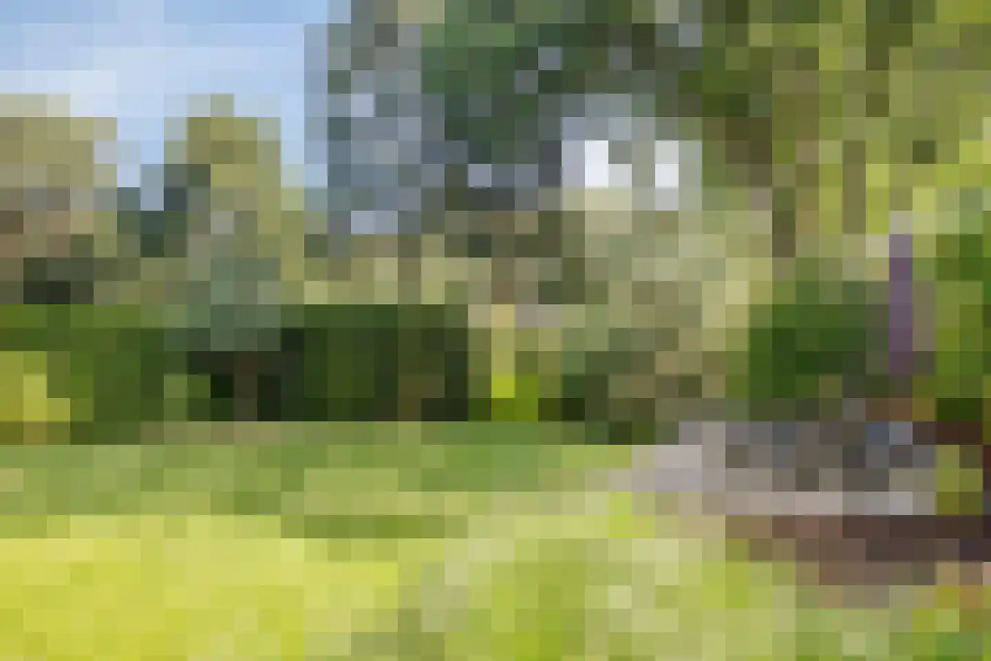 Immenweg 15 R 149 Lunteren thumbnail 27