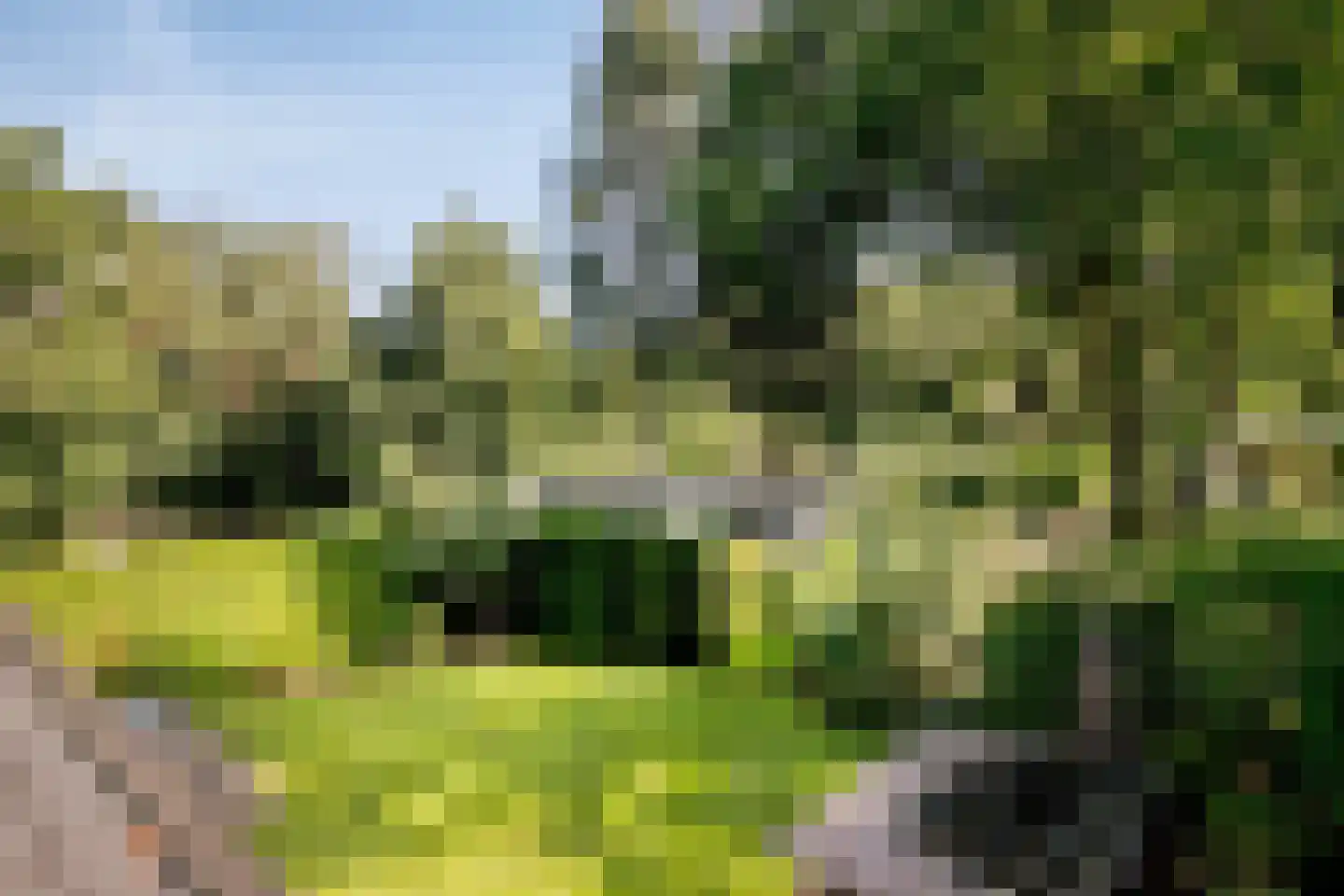 Immenweg 15 R 149 Lunteren thumbnail 29