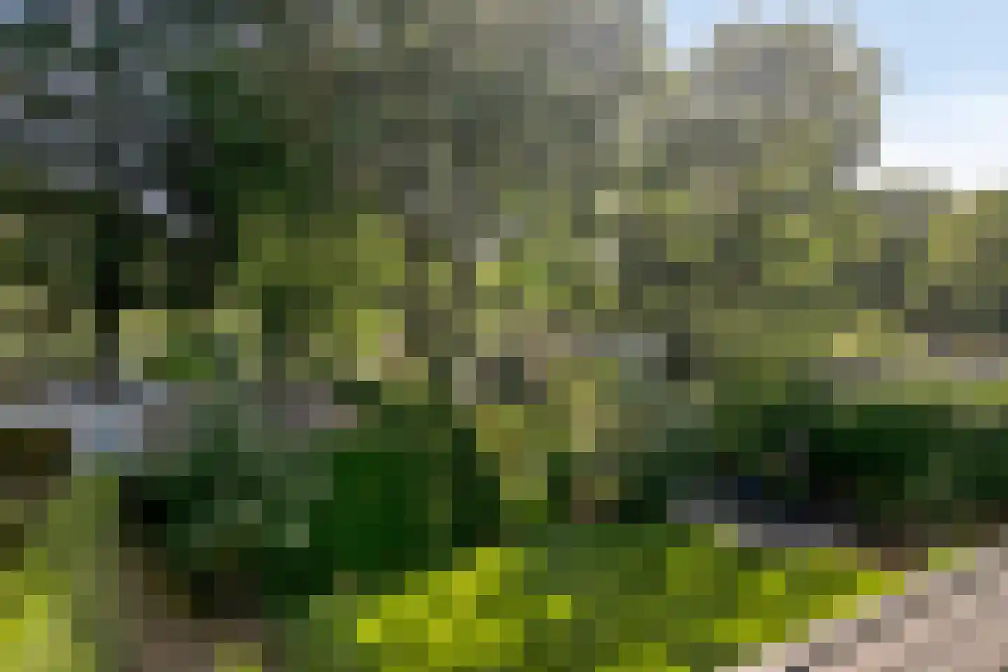 Immenweg 15 R 149 Lunteren thumbnail 31