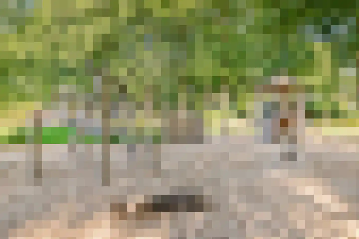 Immenweg 15 R 149 Lunteren thumbnail 38