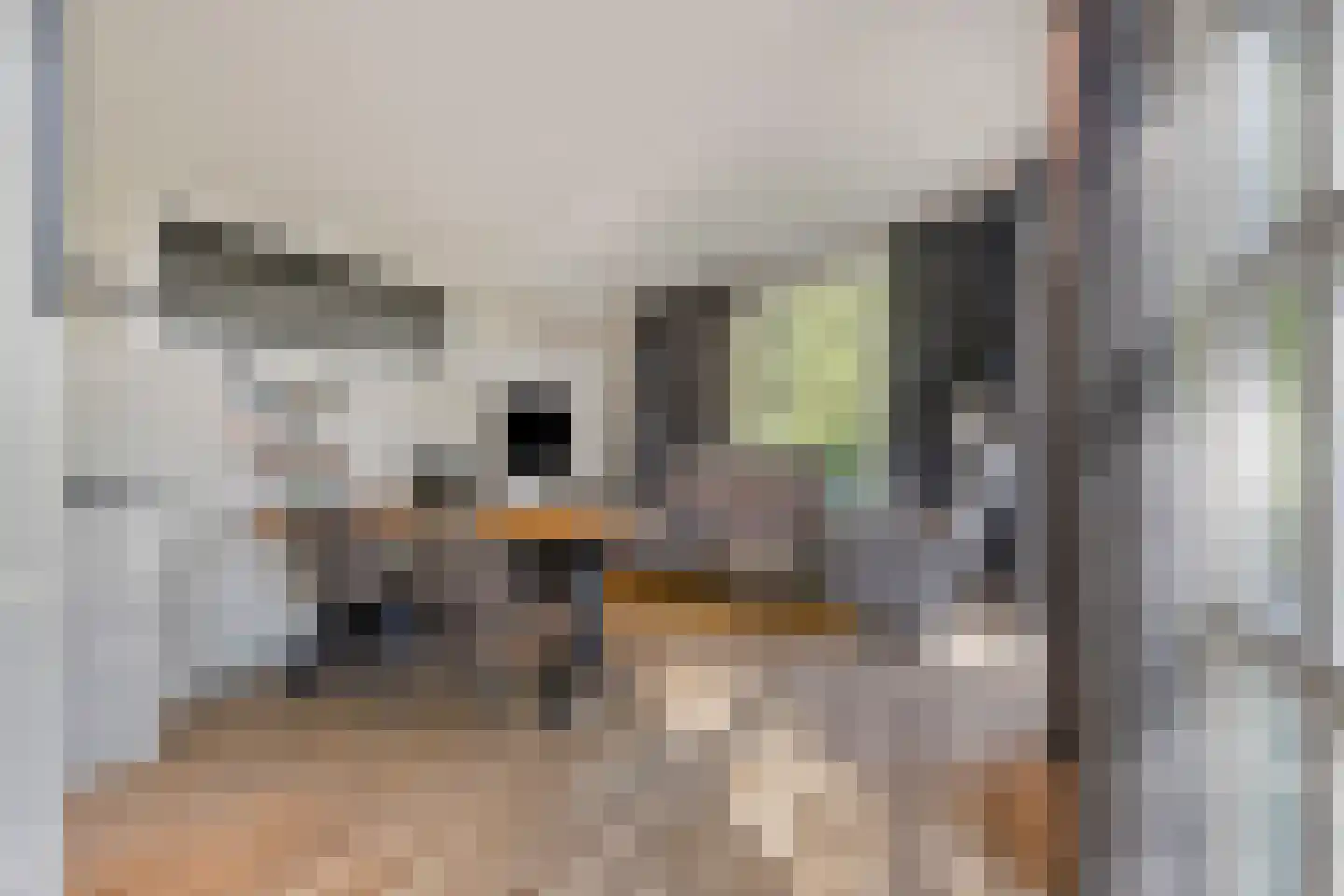 Immenweg 15 R 149 Lunteren thumbnail 9