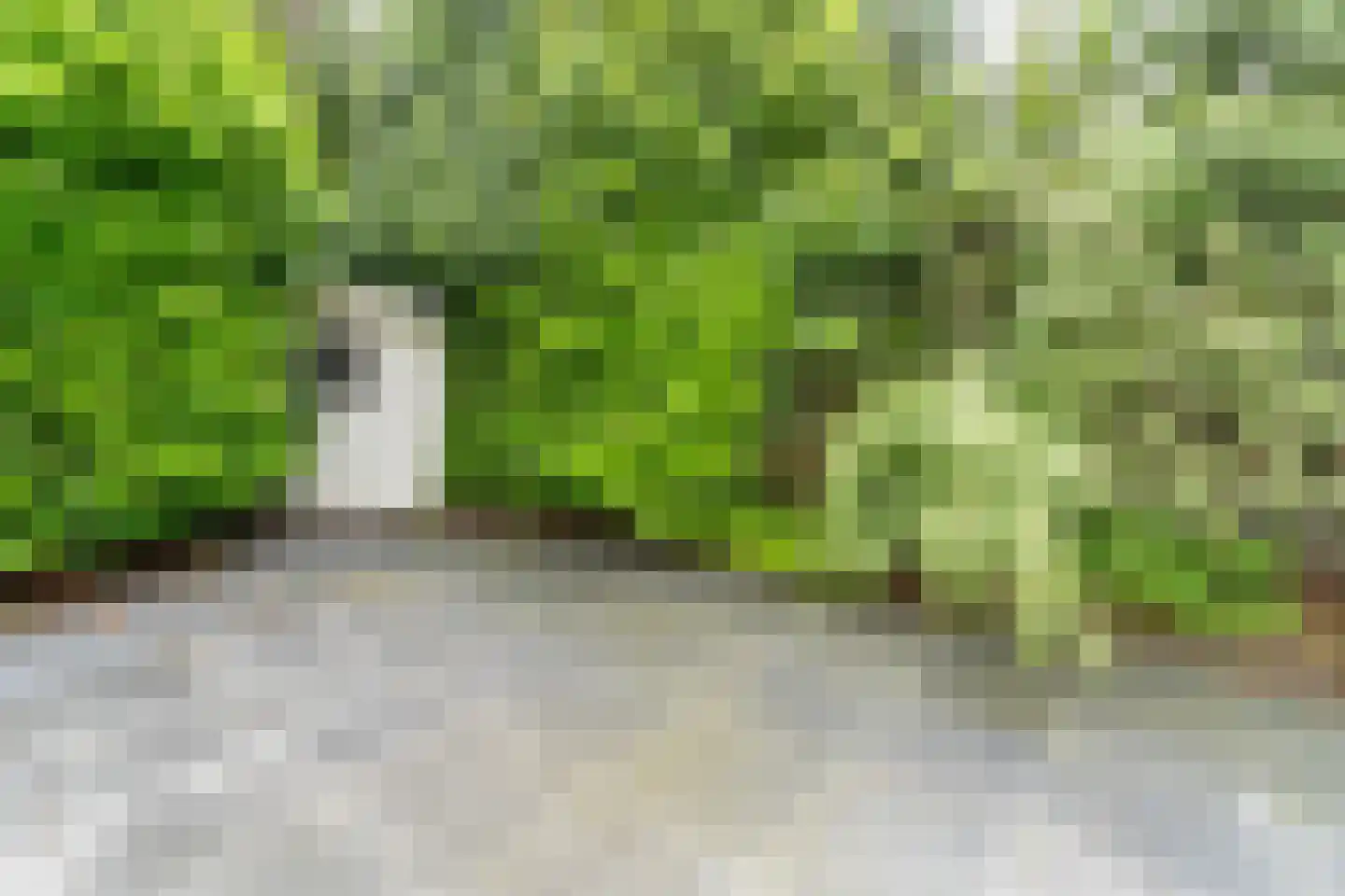 Immenweg 15 R 173 Lunteren thumbnail 26