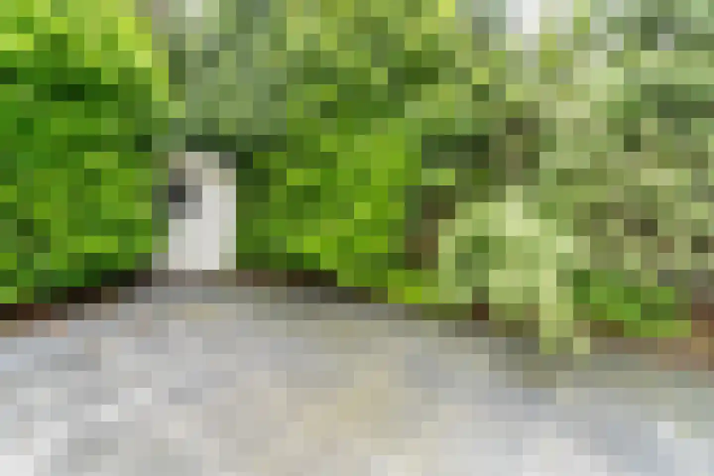 Immenweg 15 R 173 Lunteren thumbnail 26
