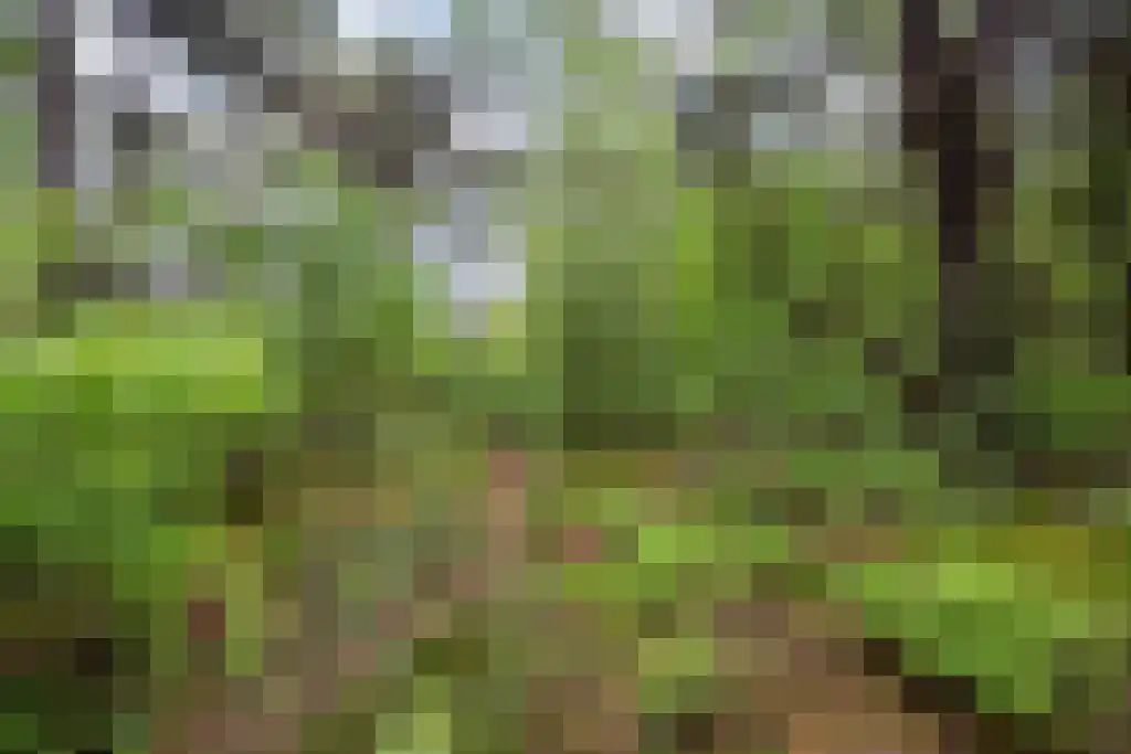 Immenweg 15 R 173 Lunteren thumbnail 36